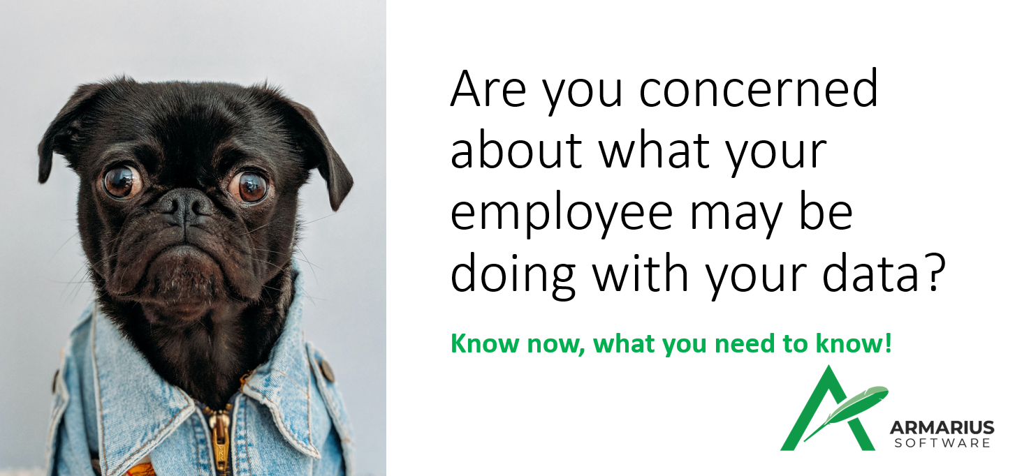 Are you concerned about what your employee may be doing with your data?